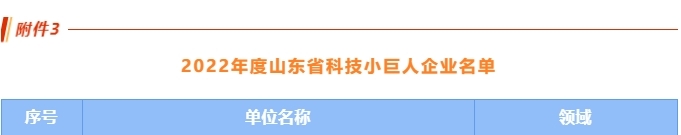 喜讯丨公司荣获首批山东省科技小巨人企业！