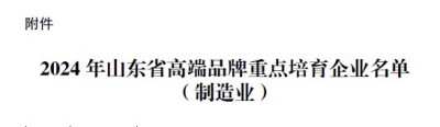 喜讯！公司荣登2024年度山东省高端品牌培育企业榜单